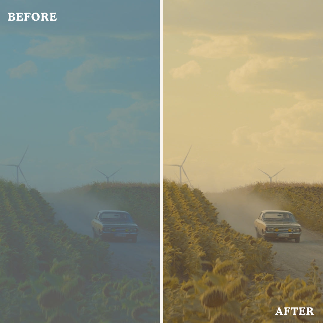 Warm Tone | Video LUTs