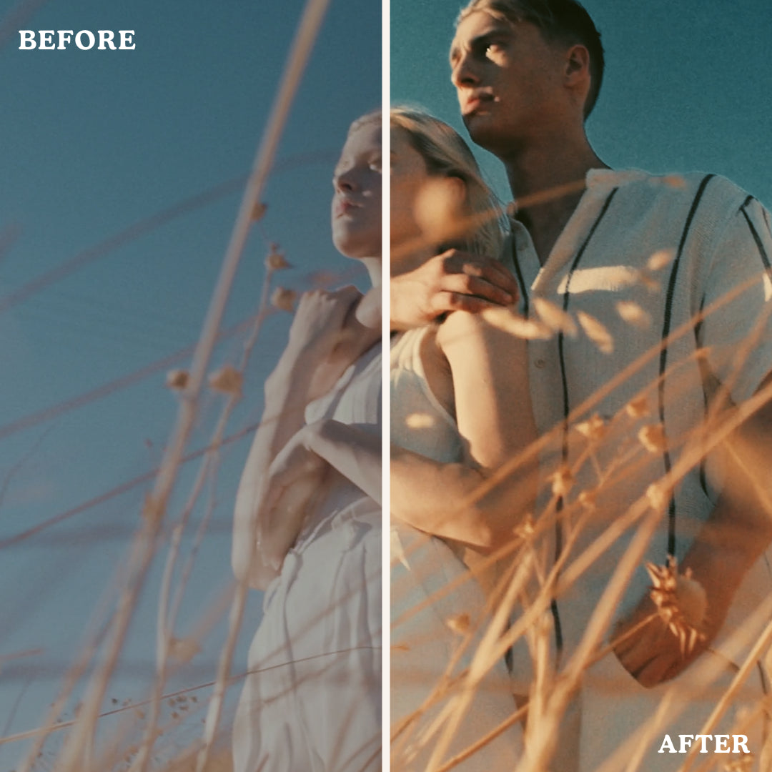 Golden Cozy Hour | Video LUTs