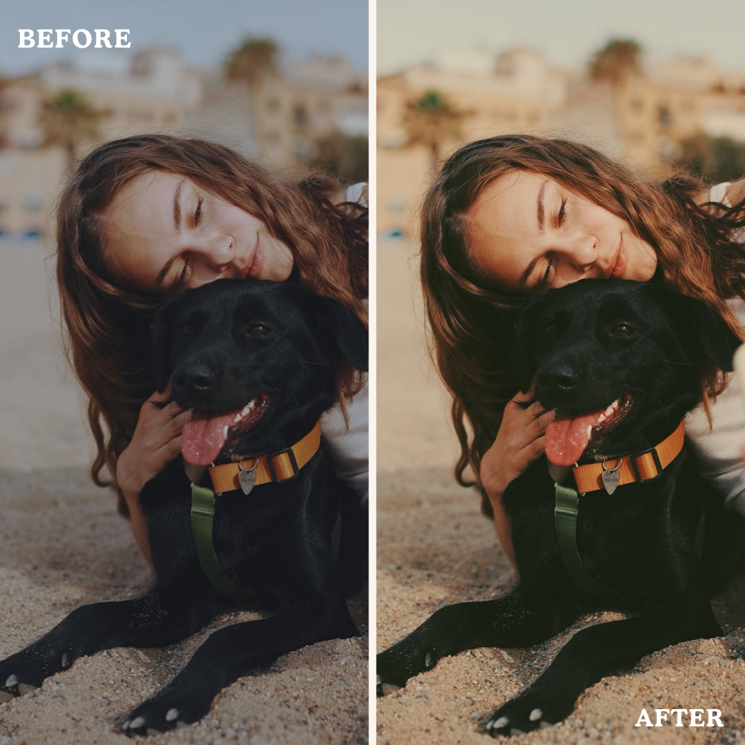 Golden Cozy Hour | Video LUTs