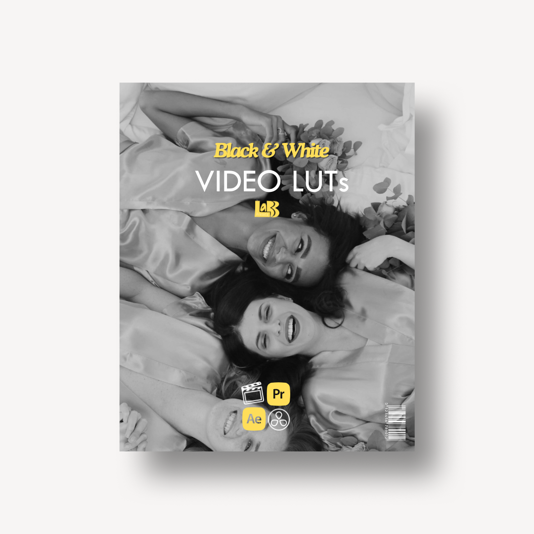 All-In-One Bundel | LUTs