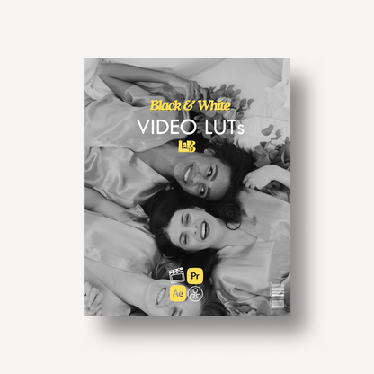 All-In-One Bundel | LUTs