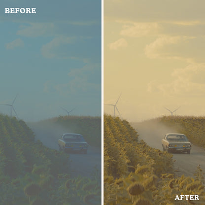 Warm Tone | Video LUTs