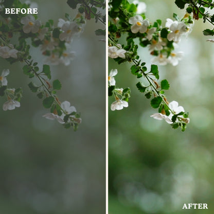 Social Media | Video LUTs