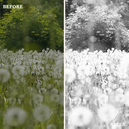 Black & White | Video LUTs