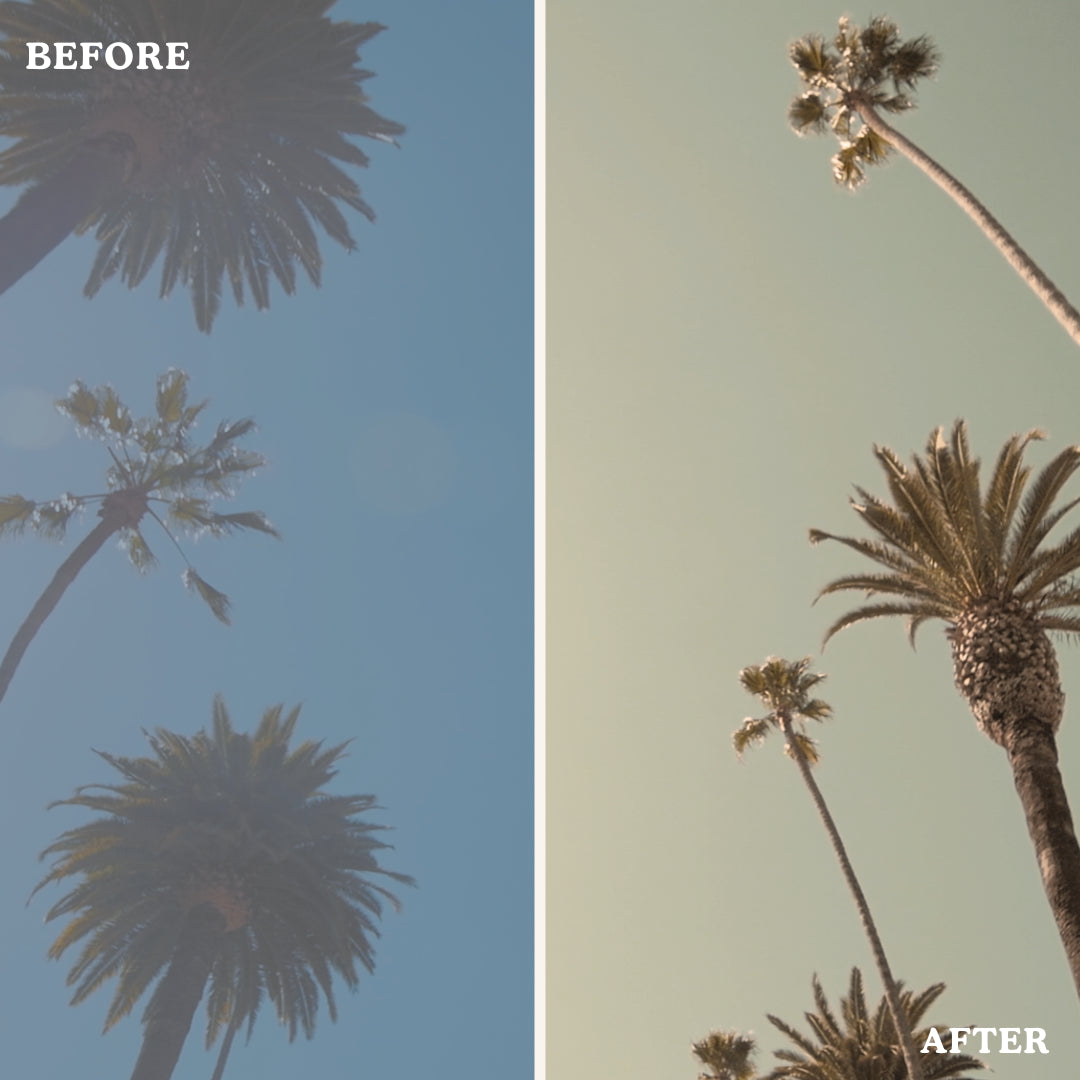 Warm Tone | Video LUTs