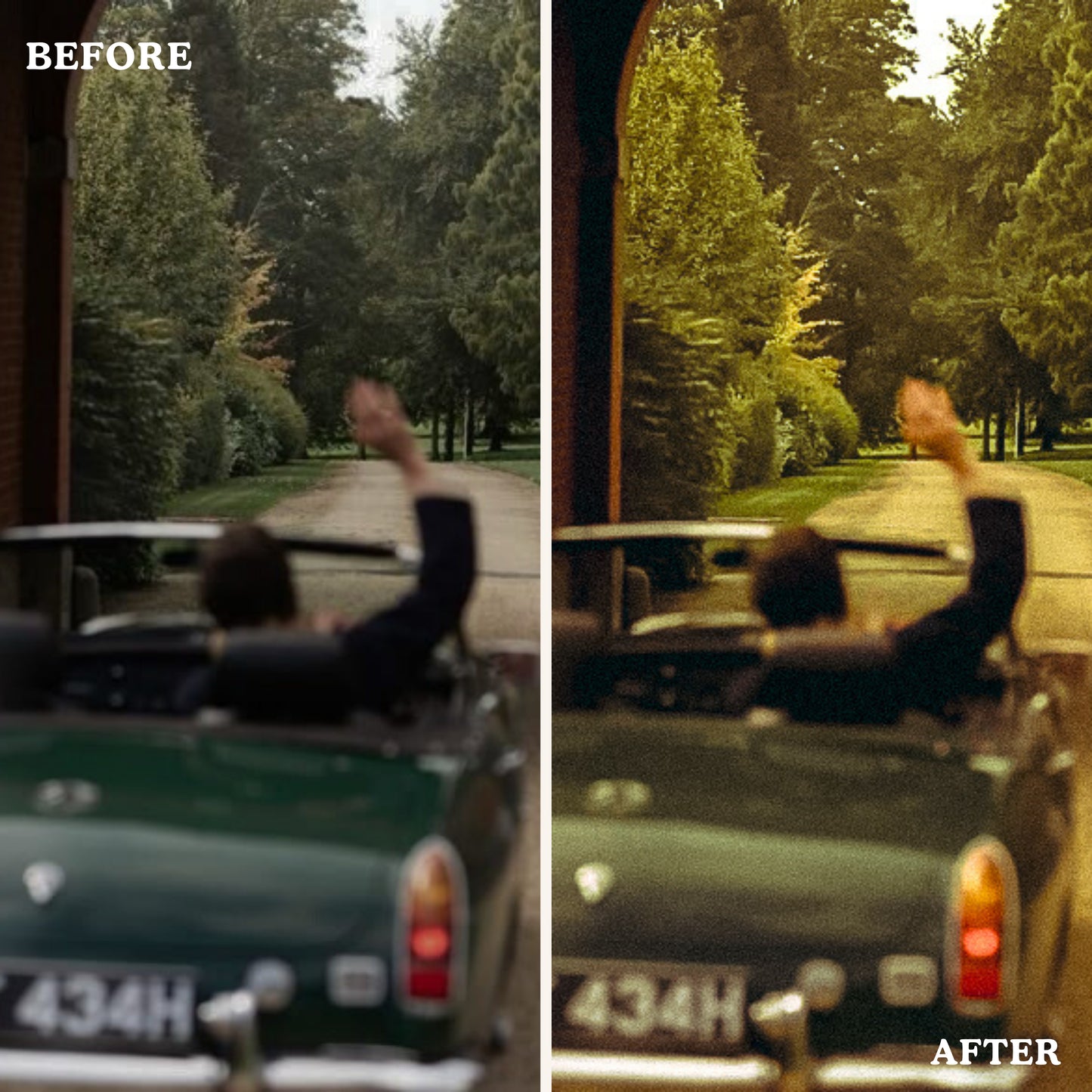 Old Money | Filters