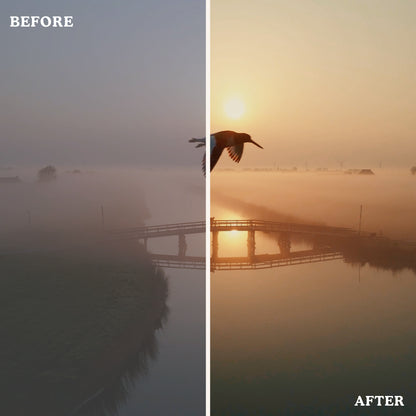 Warm Tone | Video LUTs
