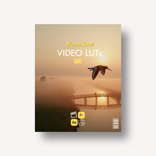 Warm Tone | Video LUTs